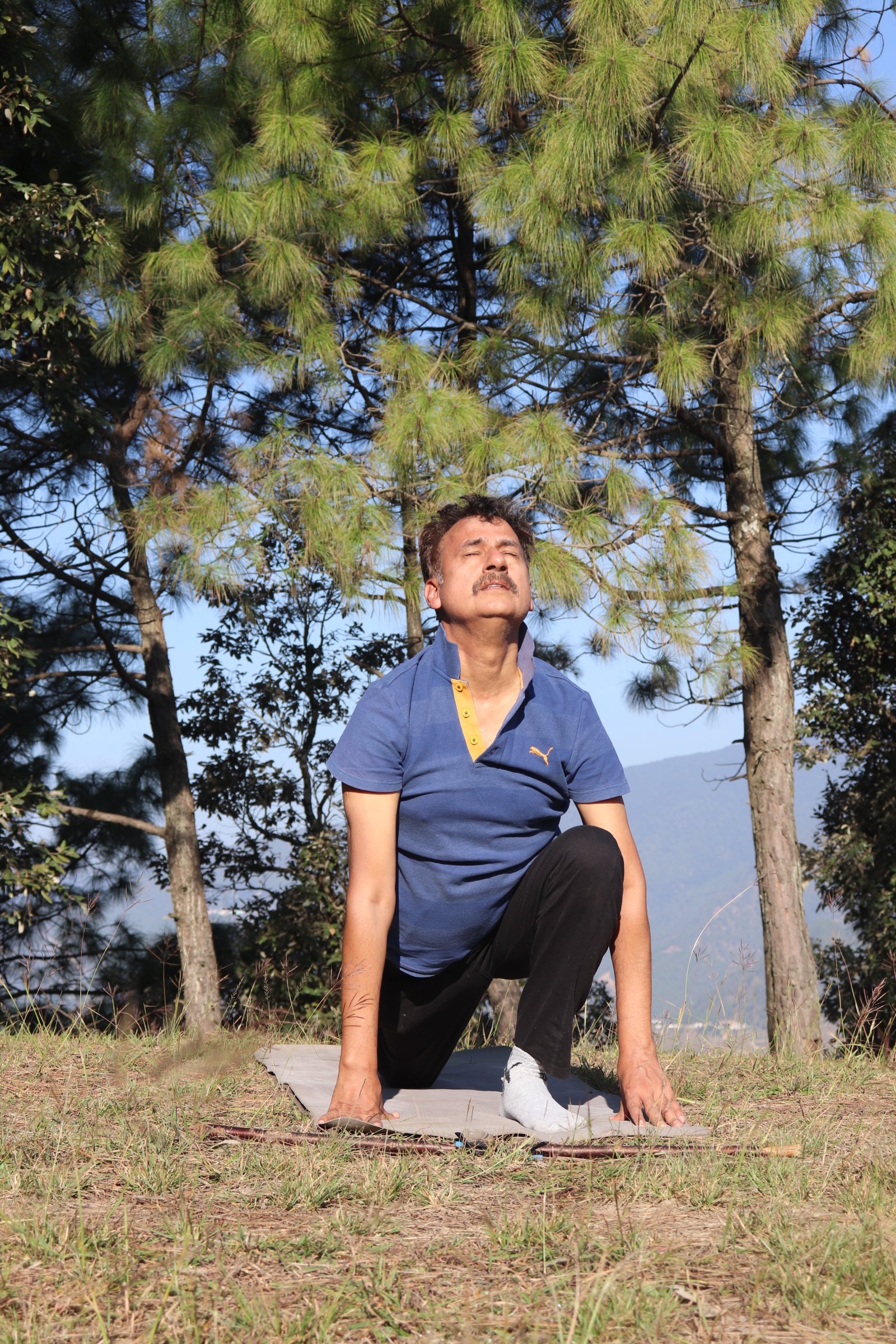 why yoga